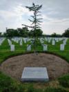 No Greater Love Cedar tree at Arlington
