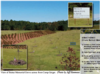 View Full Size Image