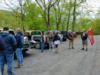 View Full Size Image